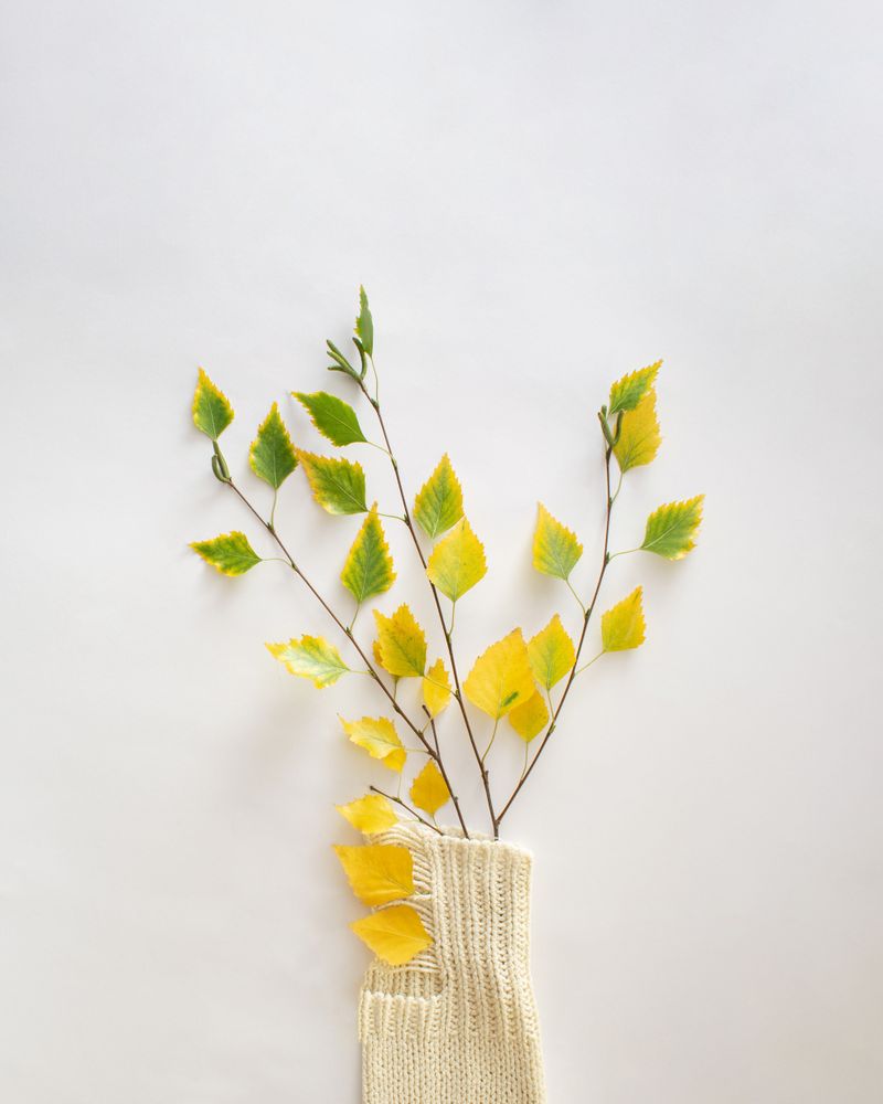 Seasonal flat lay of branches with leaves changing colors