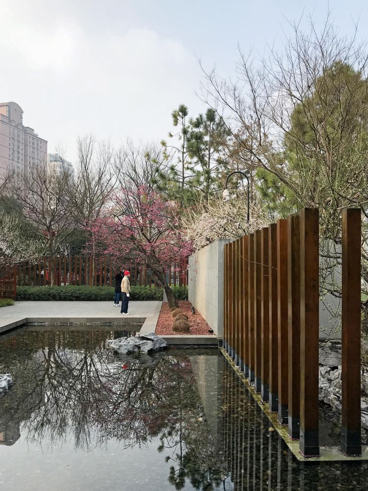 Person standing beside pool and trees in city