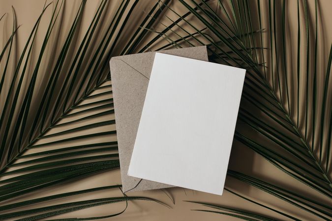 Summer tropical wedding stationery still life scene.