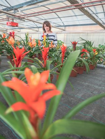 Female enjoying beautiful flowers in greenhouse