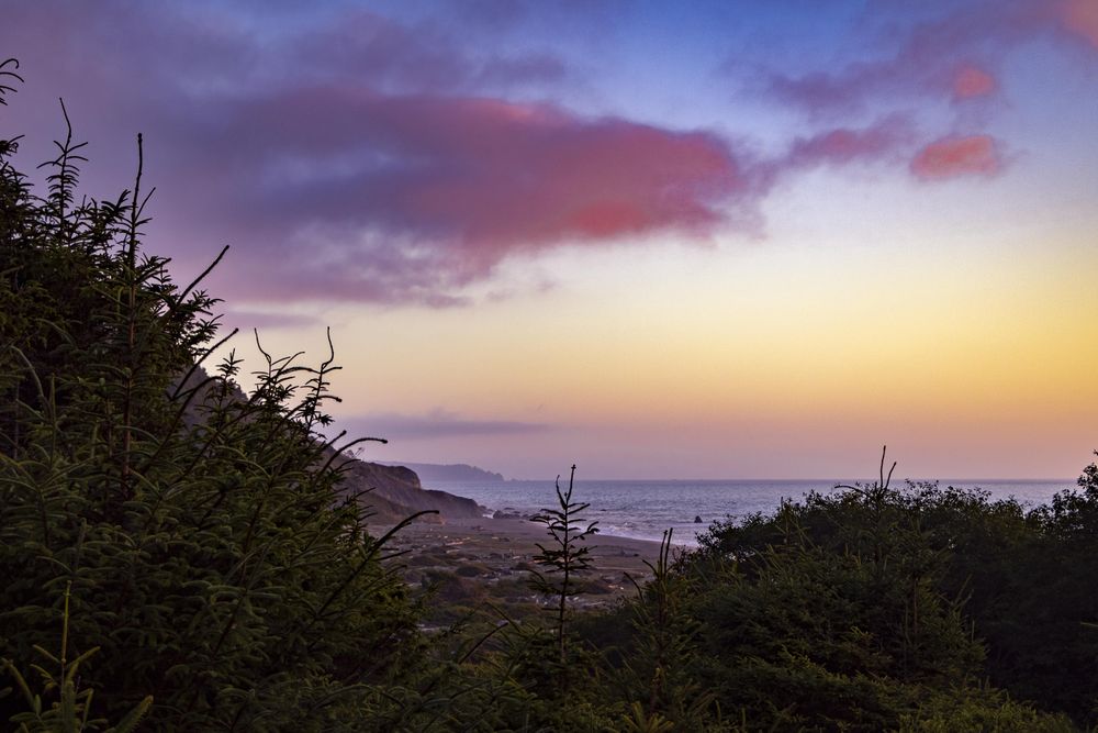 Beautiful view of the coast between bushes