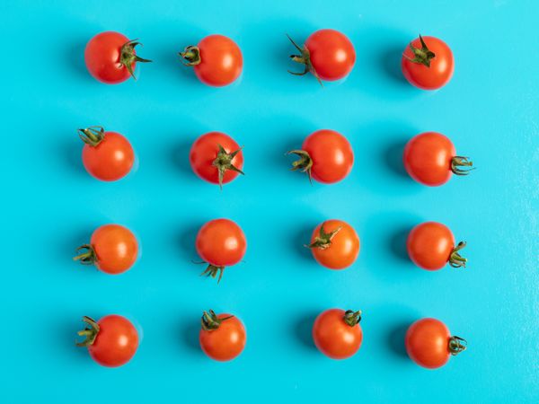 Set of assorted tomatoes