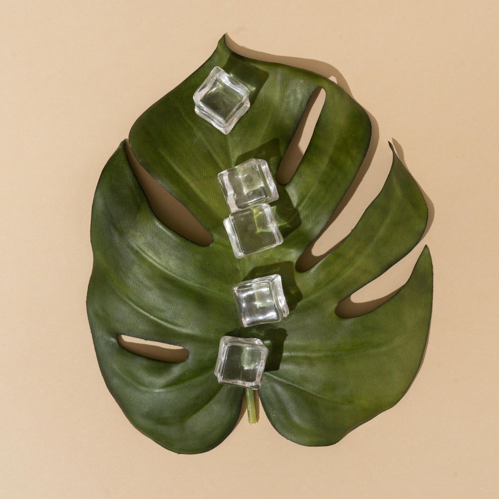 Leaf and ice cubes on beige background