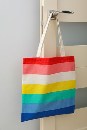 Concept of Pride parade, rainbow shopper, on color background.