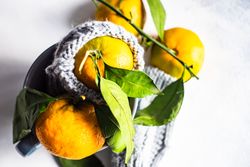 Top view close up of organic tangerines in cup with woolen cosy