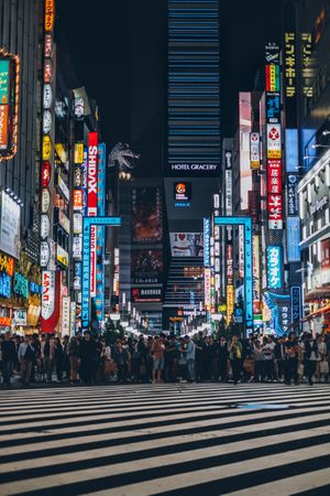 Crowd walking down the street at night in Shinjuku City, Tokyo, Japan