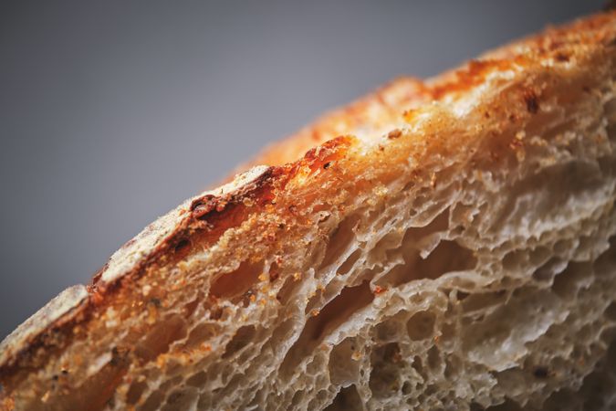 Organic sourdough bread crumb with whole wheat flour