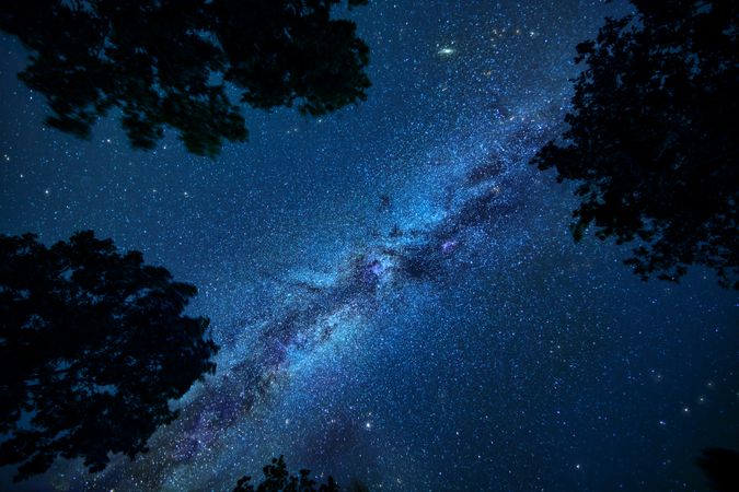 Night sky with the Milky Way in the foreground