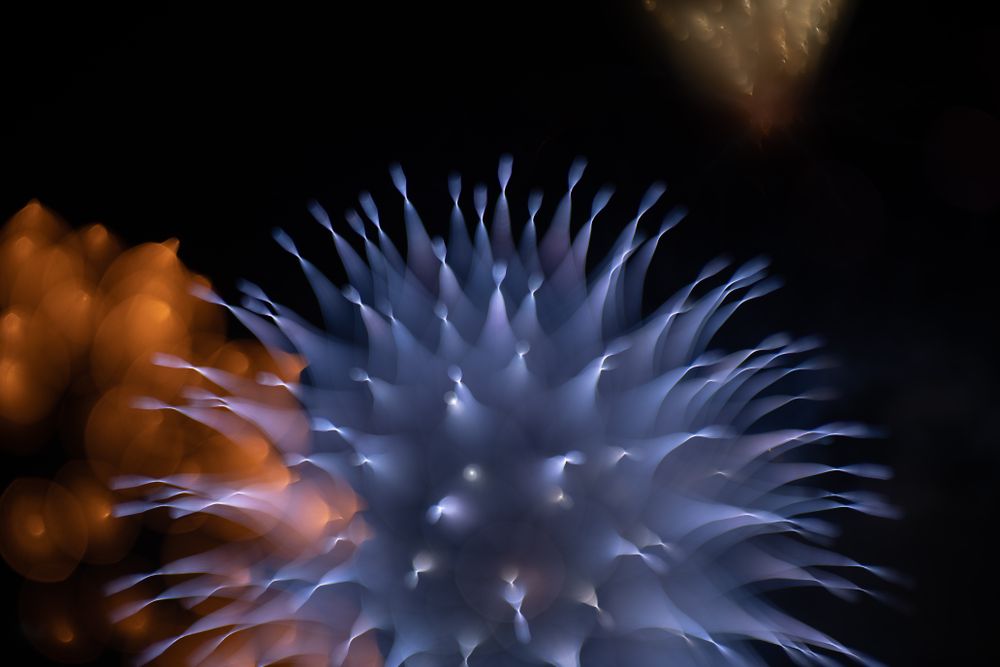 Bright fireworks on night sky