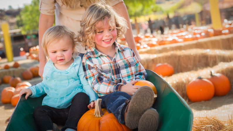 Young Children Enjoying a Sunny Fall Day at the Pumpkin Patch.