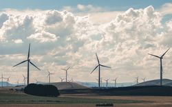 Wind turbine field during daytime