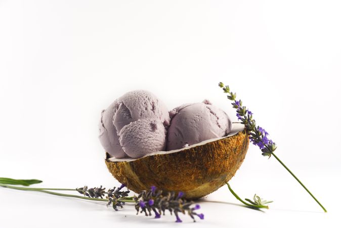 Side view of coconut shell with purple lavender ice cream and flower