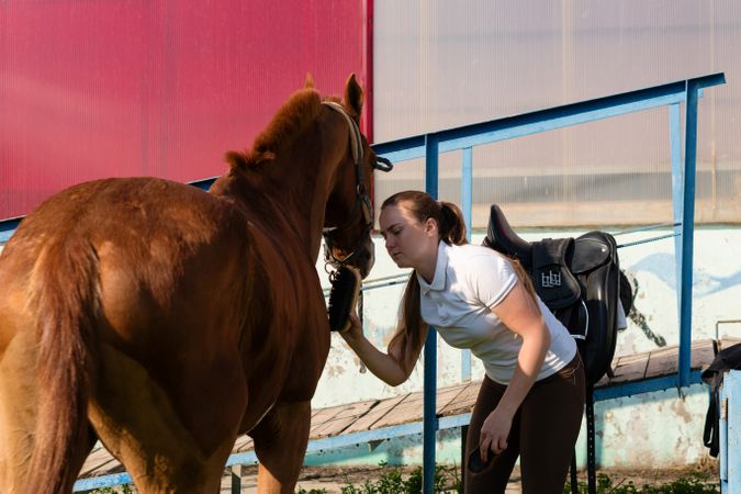 Woman cleaning horse with brush