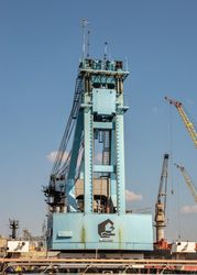 Blue crane under blue sky 56QYP0