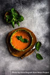 Tomato soup in green bowl on grey counter 0JGAMw