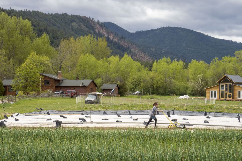Woman pushing seeder on farm with mountains in background