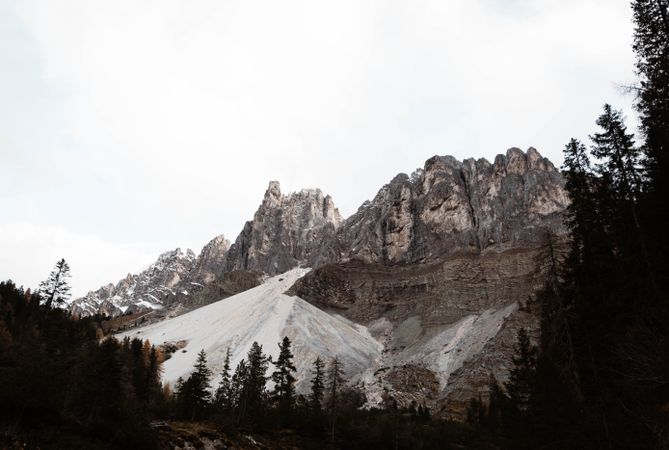 Big mountains near pine forest on cloudy weather