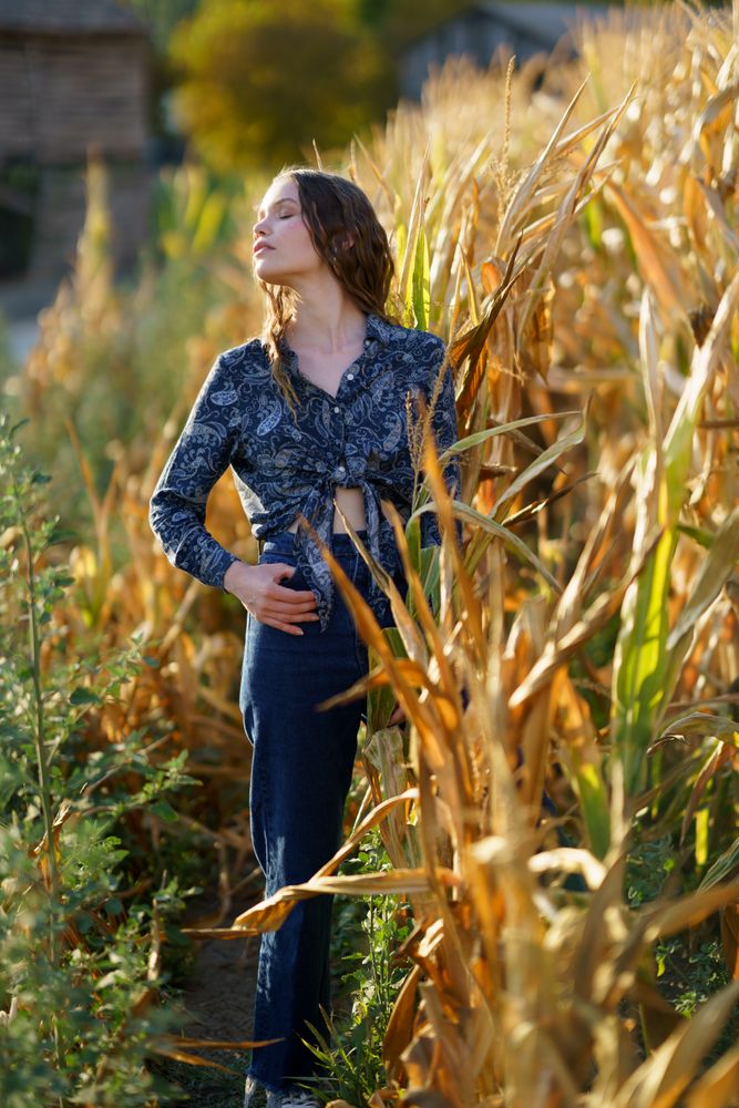 A woman dressed in stylish denim is surrounded by tall corn plants in a beautiful autumn landscape