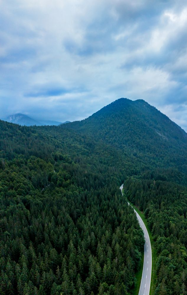 Drone aerial view with winding road passing through pine forest in Bavarian Alps, Germany