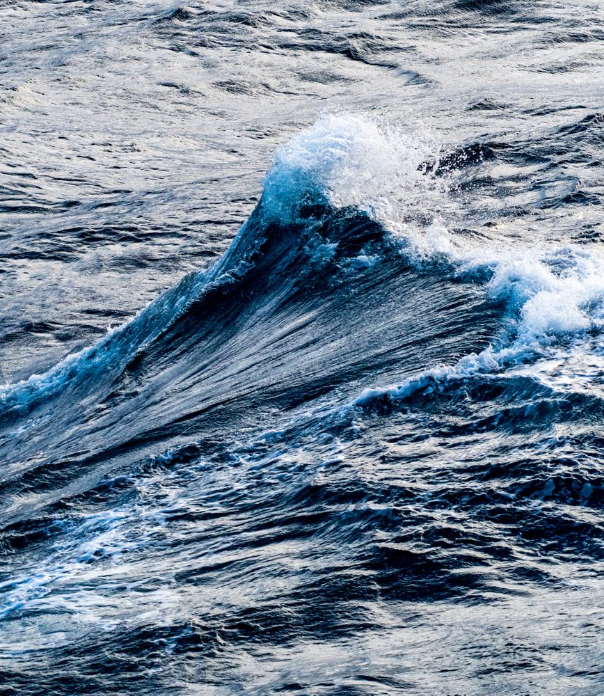Waves in the Southern Ocean