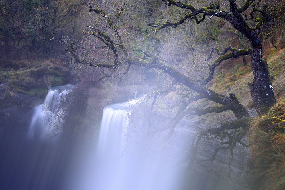 Autumn tree and waterfall