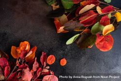 Top view of colorful autumn leaves on dark table 4MElz4