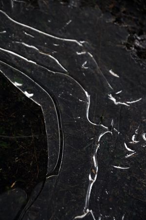 Fragment of thin ice on dark frozen river
