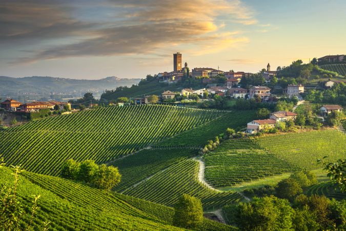 Barbaresco village and Langhe vineyards, Piedmont, Italy Europe