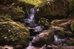 Beautiful small waterfall around mossy rocks