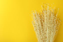 Dried flower bouquet with copy space
