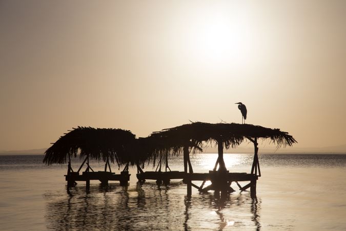 Laundry in sea at sunset