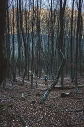 Tourist walking in autumn forest