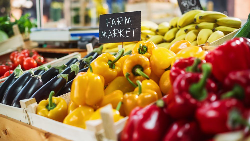 Farmers Market Food Stall with a Selection of Ecological Fruits and Vegetables.