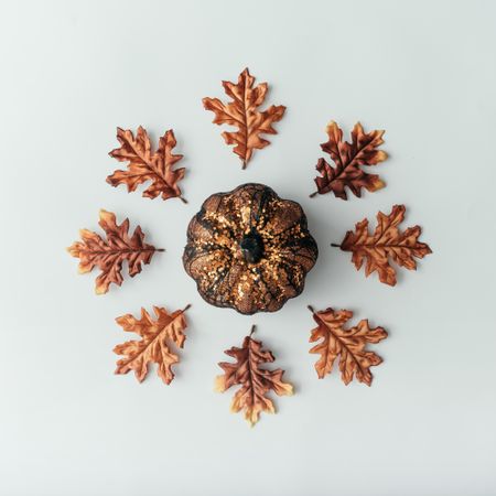 Autumn leaves surrounding pumpkin on light background