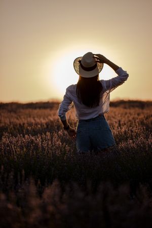 Anonymous woman walking in lavender field