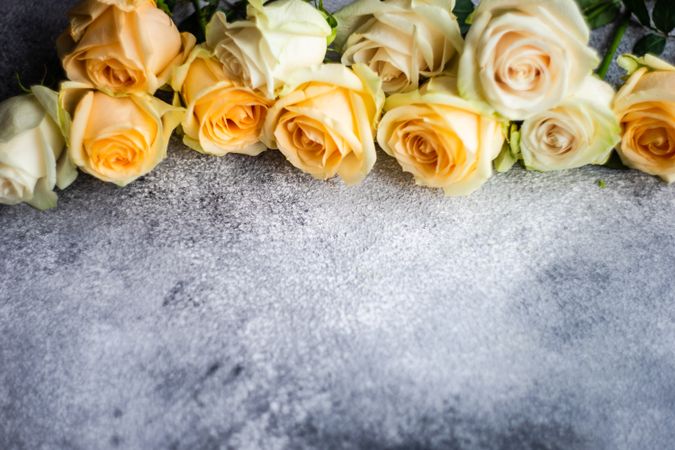 Top view of yellow flowers on grey background with space for text
