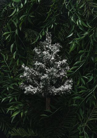 Snowy mini-Christmas immersed in densely packed leaves