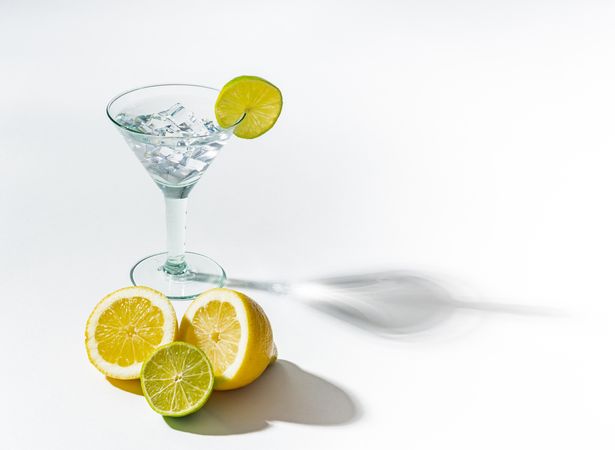 Cocktail glass with ice cubes and sliced citrus