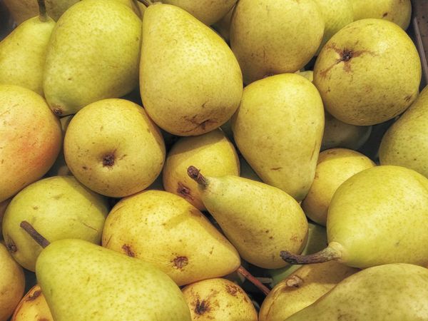 pears
