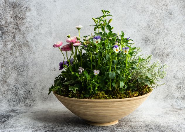 Side view of modern pot of Easter flowers