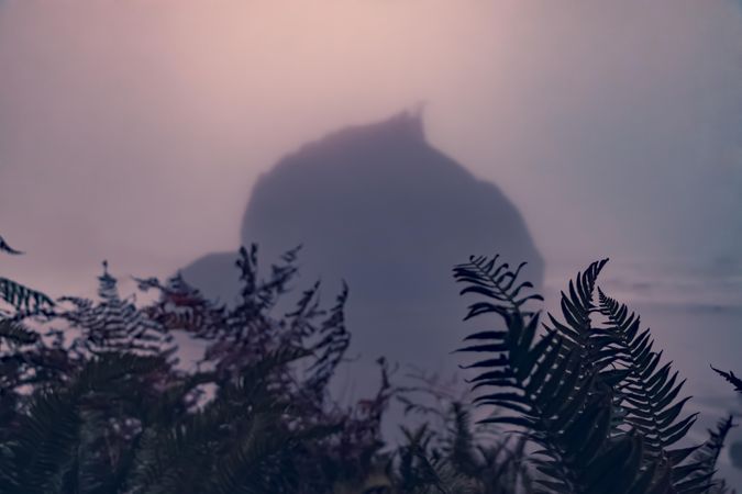 Moody shot of misty rock in ocean with silhouette of plants