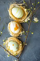 Three pastel decorative eggs in nests