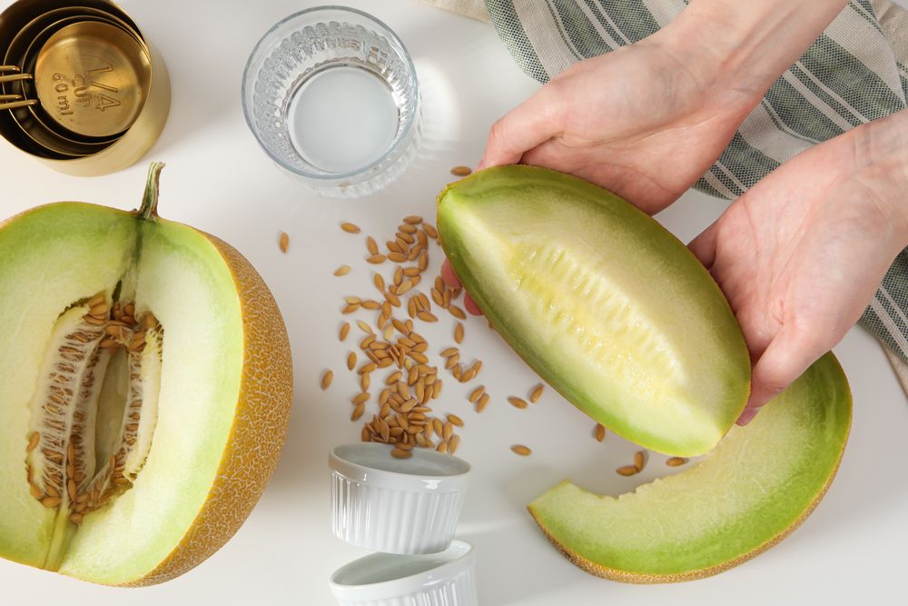 Juicy and tasty summer time fruit concept - melon