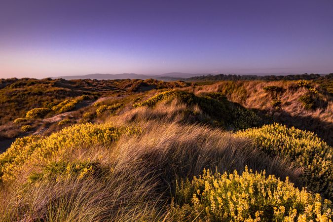 Rolling hills near the coast at dusk