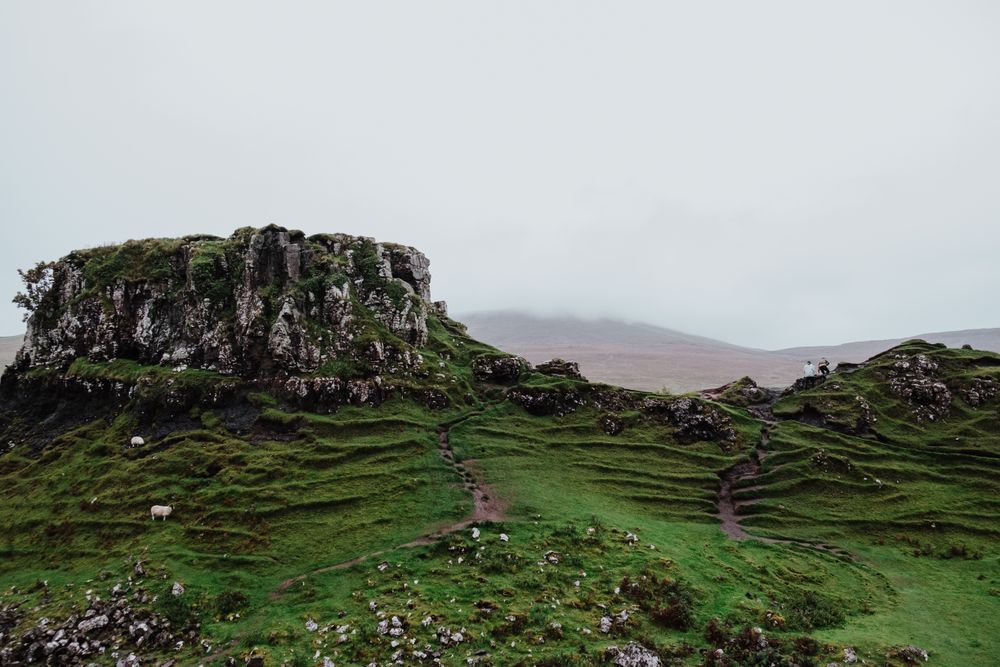 Sheep in green mountains