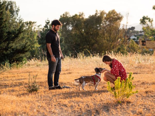 Happy active couple playing with dog outdoors