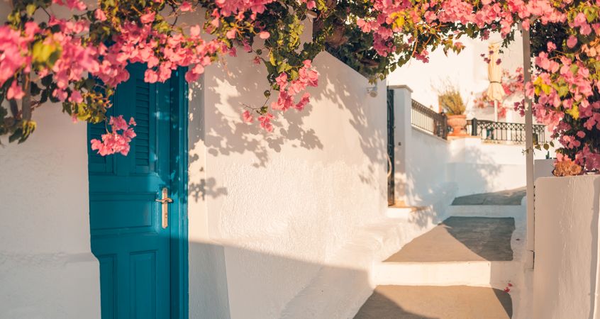 Lane with blue doors and pink bougainvillea flowers