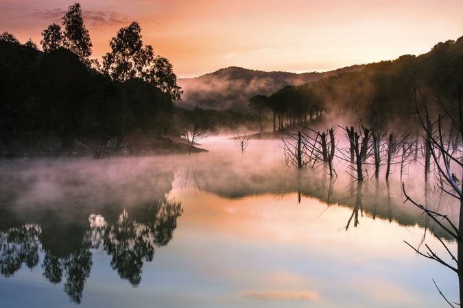 Beautiful mysterious river with trees in mist