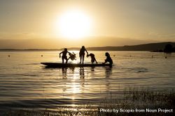 Silhouette of children playing and swimming around a surfboard on water during sunset 4Mk6a0