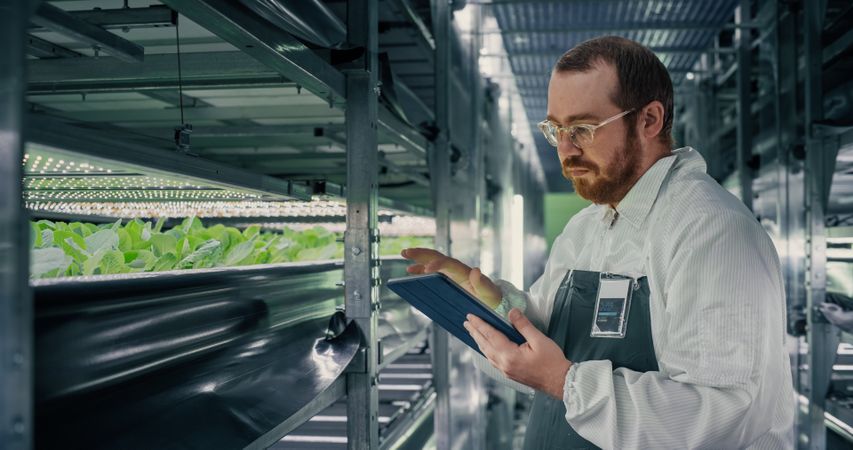 Portrait of a Biologist Analyzing Fresh Crops at Modern Vertical Farm Facility. Agricultural Engineer Working on a Tablet Computer, Improving and Optimizing Hydroponics System and Technologies